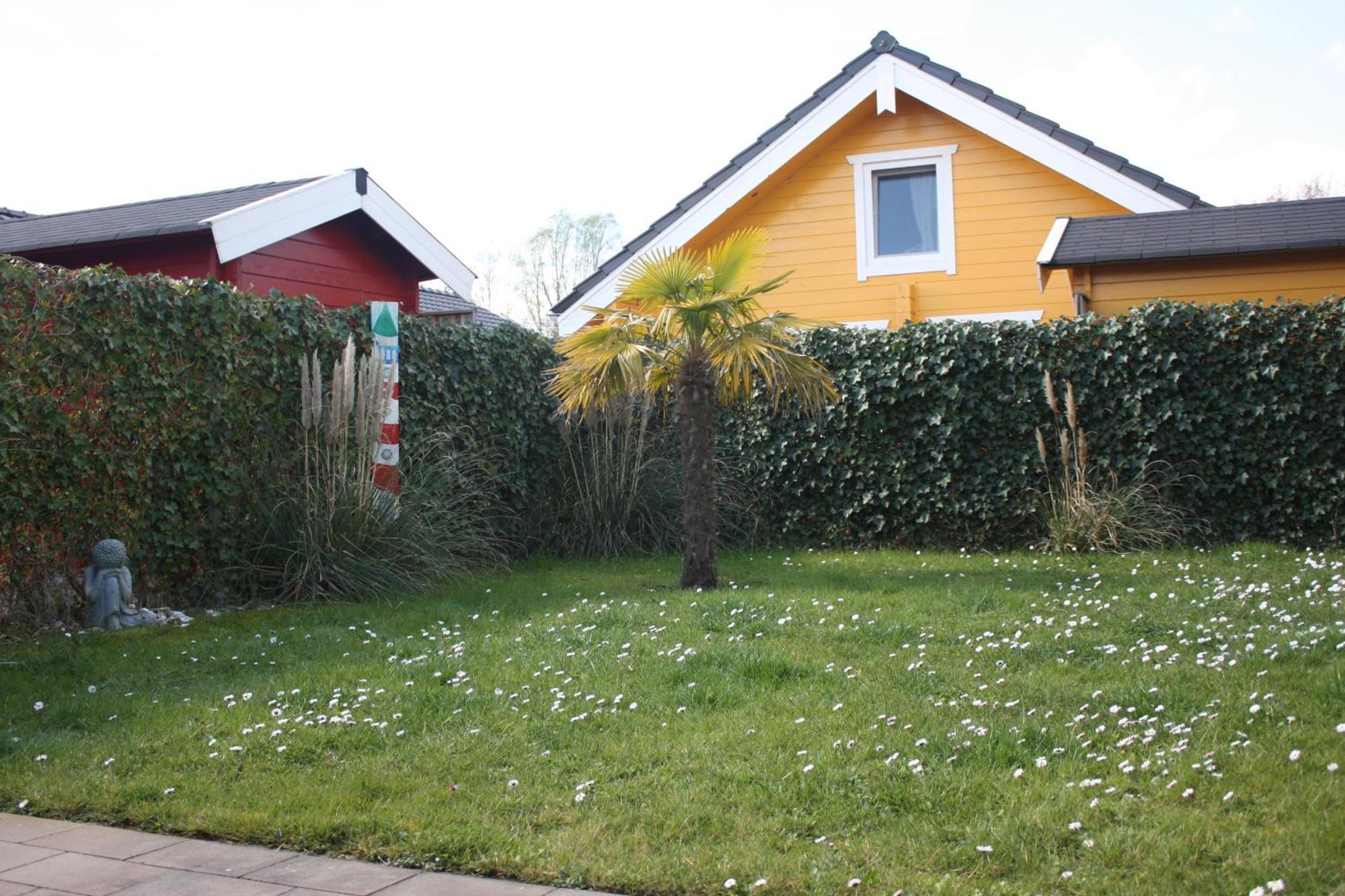 Villa Emilia - Gemuetliches Kinderfreundliches Blockhaus Mit Umzaeuntem Garten Sint Annaland Exteriör bild